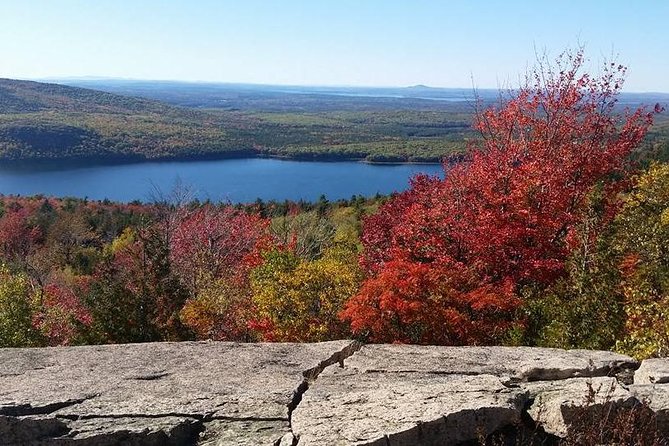 Narrated Bus Tour of Bar Harbor and Acadia National Park - Price, group size, and overall value