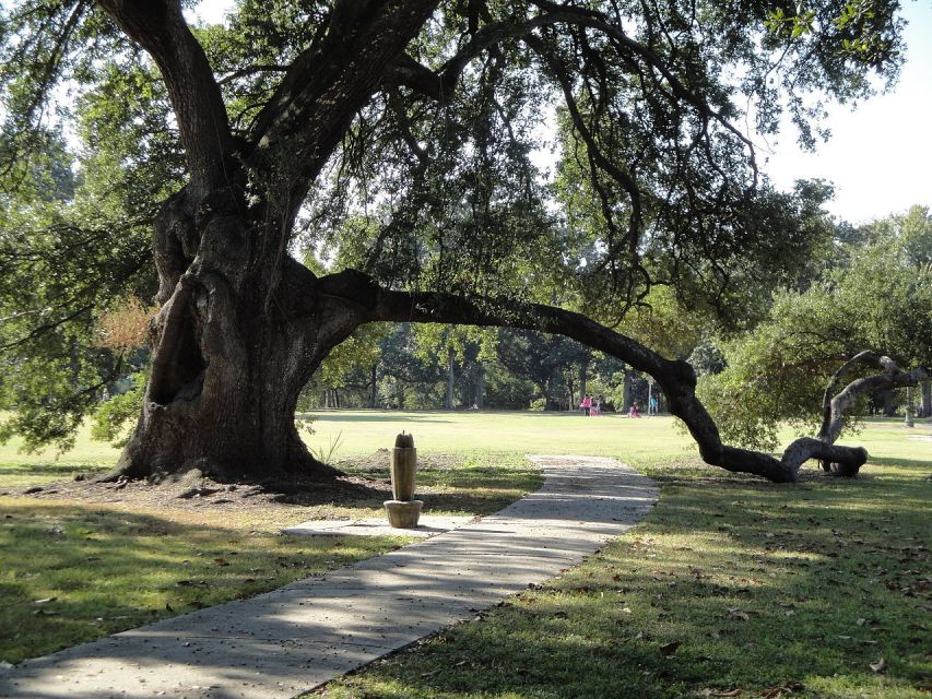New Orleans: 2-Hour 15-Minute City and Cemetery Tour by Bus - Key points to know before booking