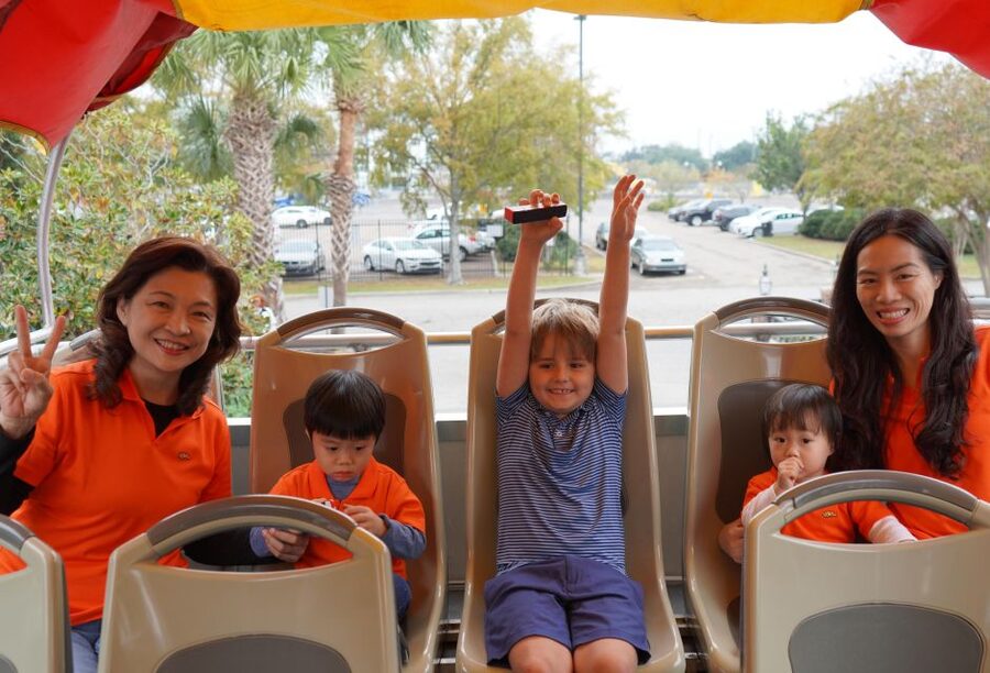 New Orleans: 2 or 3 Day Hop-On Hop-Off Bus with Walking Tour - National WWII Museum and Magazine Street
