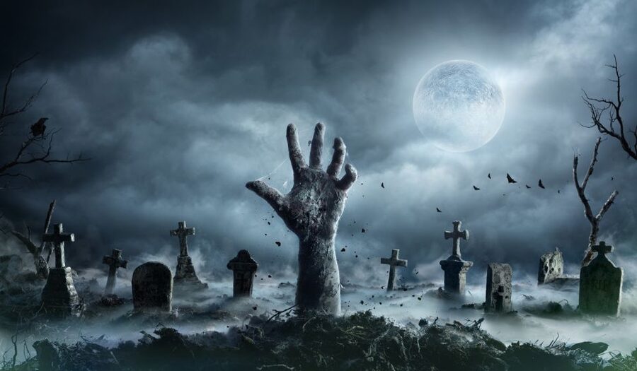 New Orleans: Night Cemetery and Ghost BYOB Bus Tour - The ghost stories are only half the experience