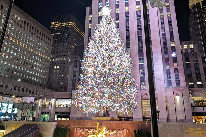 New York City Holiday Lights Tour - Key things to know before you book