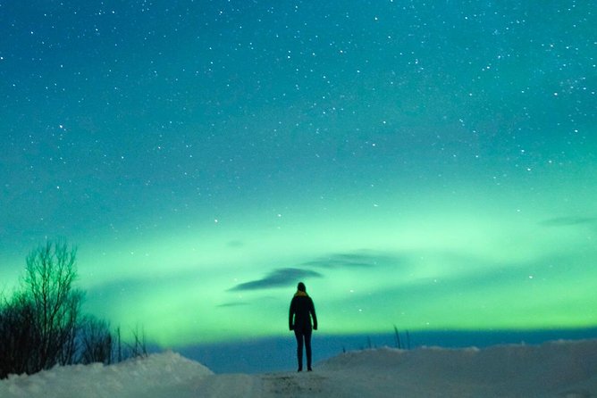Northern Lights Bus Tour from Reykjavik with Hot Chocolate - Photography and seeing the aurora