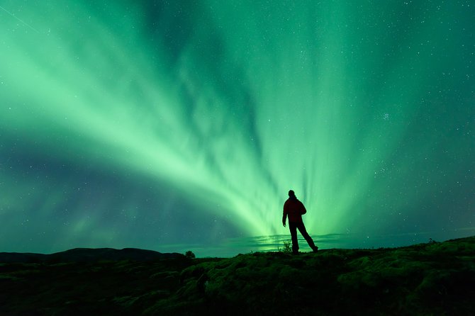 Northern Lights Guided Bus Tour from Reykjavik - Key points before you book