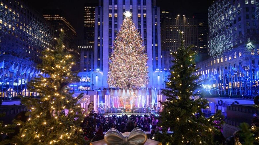 NYC: Dyker Heights and NYC Holiday Lights Luxury Bus Tour - Ending at the Rockefeller Center Christmas Tree