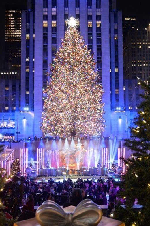 NYC: Dyker Heights and NYC Holiday Lights Luxury Bus Tour - Luxury bus or private SUV?