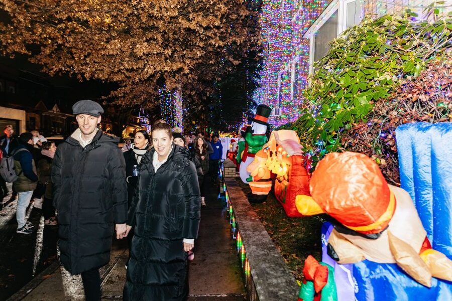 NYC: Dyker Heights Christmas Lights & Skyline View Bus Tour - Is $69 a fair price?