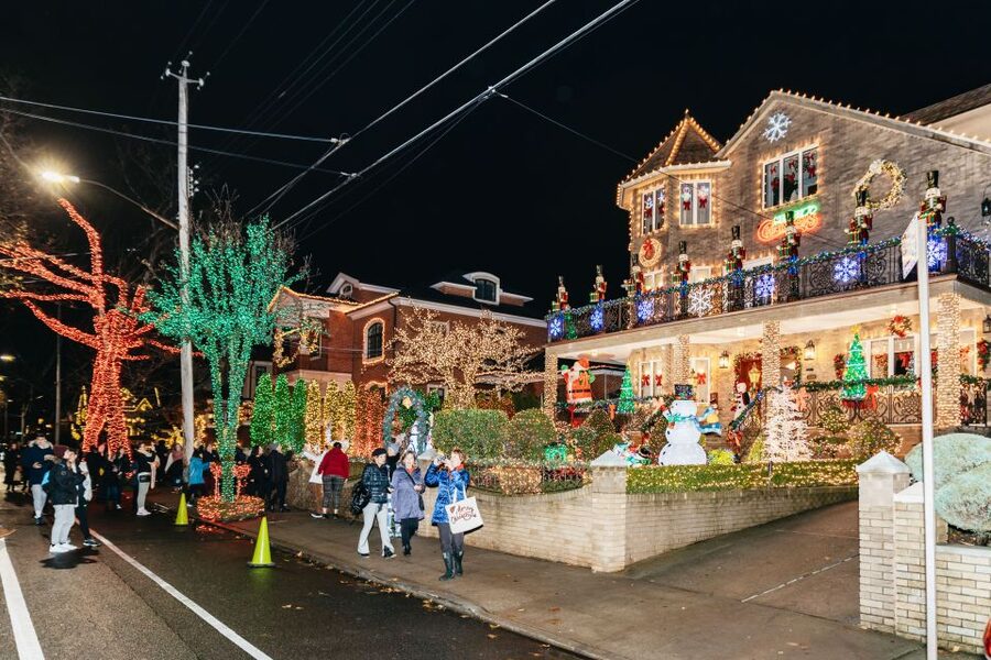 NYC: Dyker Heights Christmas Lights & Skyline View Bus Tour - The guide can make or break the evening