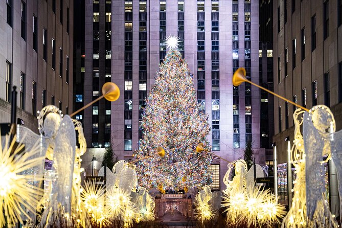 NYC: Holiday Lights and Dyker Heights Luxury Bus Tour - Key points to know before booking