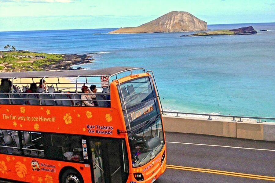Oahu: Waikiki Trolley Hop-on Hop-off All-Line Pass - The Pink Line: Ala Moana and Waikiki Shopping