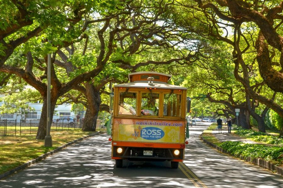 Oahu: Waikiki Trolley Hop-on Hop-off All-Line Pass - Practical Details Before You Leave Waikiki