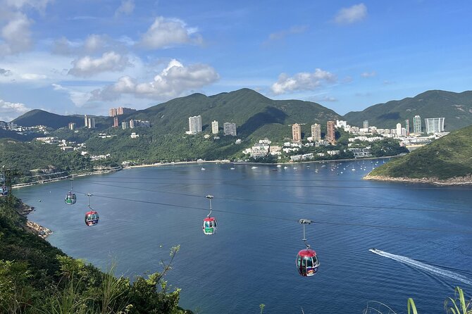 Ocean Park Full-Day Coach Tour with Hotel Pickup in Kowloon Area from Hong Kong - What the $73.75 price really buys you