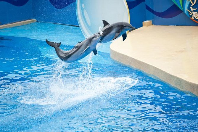 Ocean Park Full-Day Coach Tour with Hotel Pickup in Kowloon Area from Hong Kong - Entering Ocean Park and finding your bearings