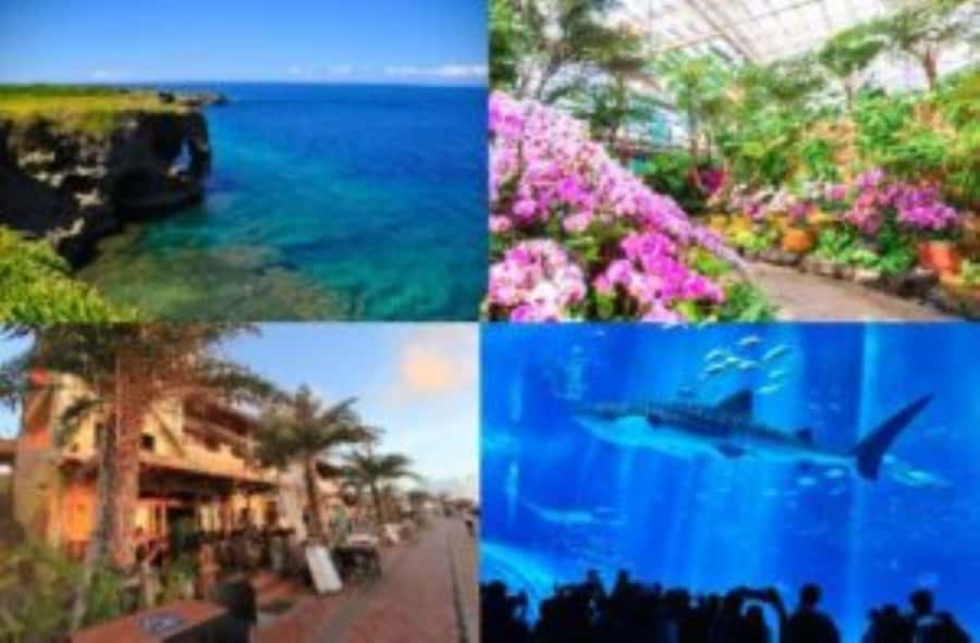 Okinawa: Bus Tour to Churaumi Aquarium with Sightseeing - Key things to know before booking