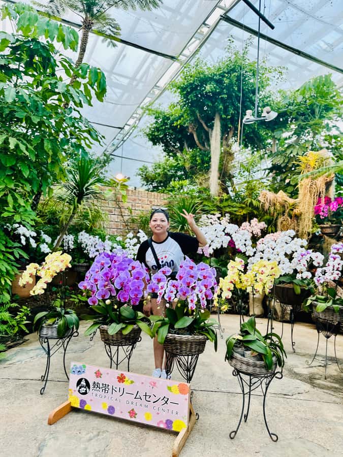 Okinawa: Bus Tour to Churaumi Aquarium with Sightseeing - What the audio guide and staff actually add