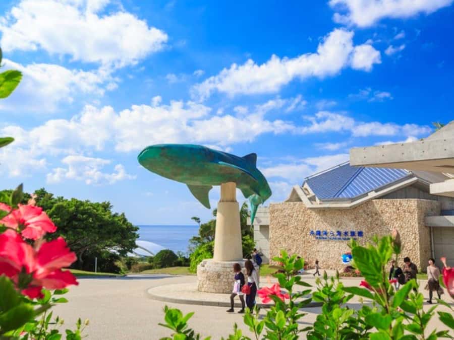 Okinawa: Bus Tour to Churaumi Aquarium with Sightseeing - The ride north from Naha and Chatan