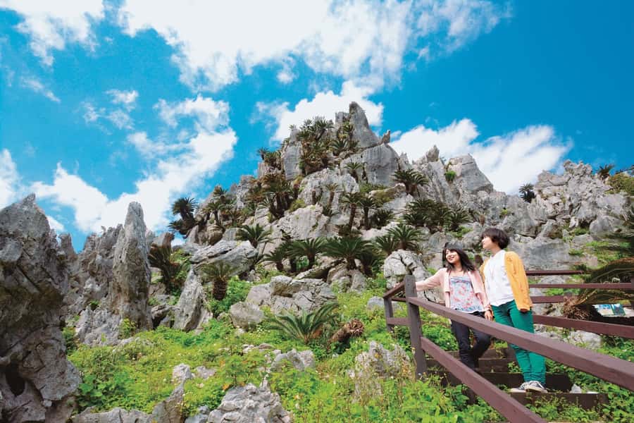 Okinawa: Full-Day Bus Tour to Yanbaru National Park - Key points to know before booking