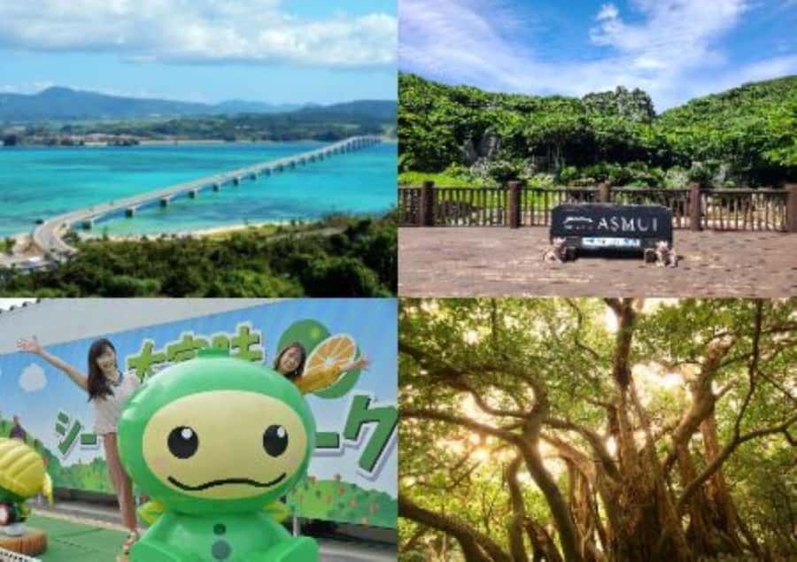 Okinawa: Full-Day Bus Tour to Yanbaru National Park - The long ride north to Yanbaru