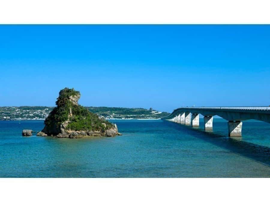 Okinawa: Full-Day Bus Tour to Yanbaru National Park - Yanbaru Forest Visitor Center and Dome Theater