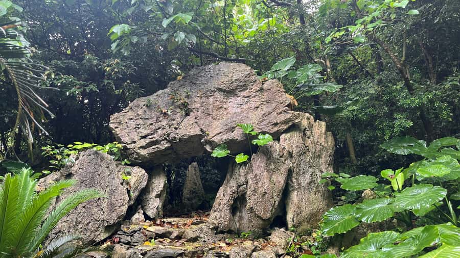 Okinawa: Full-Day Bus Tour to Yanbaru National Park - Lunch at Kunigami Minato Shokudo