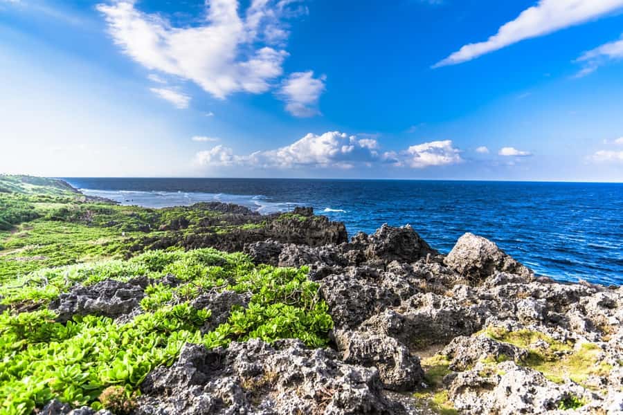Okinawa: Full-Day Bus Tour to Yanbaru National Park - Starting early from central Naha