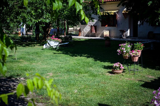 Olympia - Private Half Day Tour with Mini Bus - Klio’s Honey Farm and a taste of rural Greece
