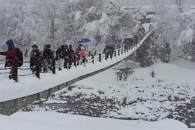 [One-day bus tour departing from Kanazawa Station] Shirakawa-go/Takayama tour platinum route bus tour - Key points to know before booking