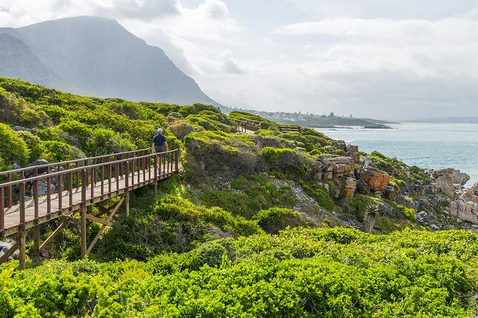 One-Way Hop-on Hop-off Bus from Cape Town to Port Elizabeth - Why this bus works for a south coast trip