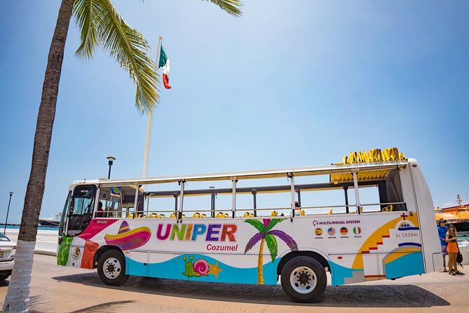 Open Top City Tour & Beach Break - Who will enjoy this Cozumel outing?