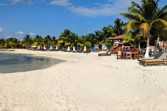 Open Top City Tour & Beach Break - San Miguel’s Benito Juarez Park in 30 minutes