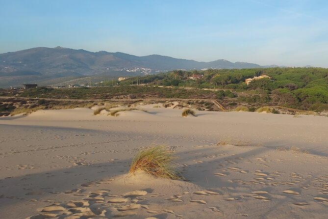 Open Top Sunset Tour with Strawberries and Pink Bubbly Drinks included - Why this three-hour coastal ride works