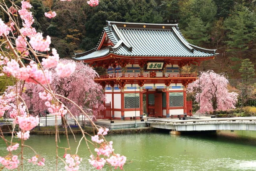 Osaka/Kyoto: Katsuoji, Kinkakuji, Arashiyama 1-Day Bus Tour - Katsuoji Temple and its field of Daruma dolls