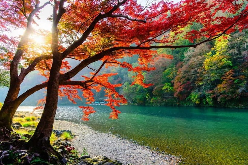Osaka/Kyoto: Katsuoji, Kinkakuji, Arashiyama 1-Day Bus Tour - Is $56 good value?