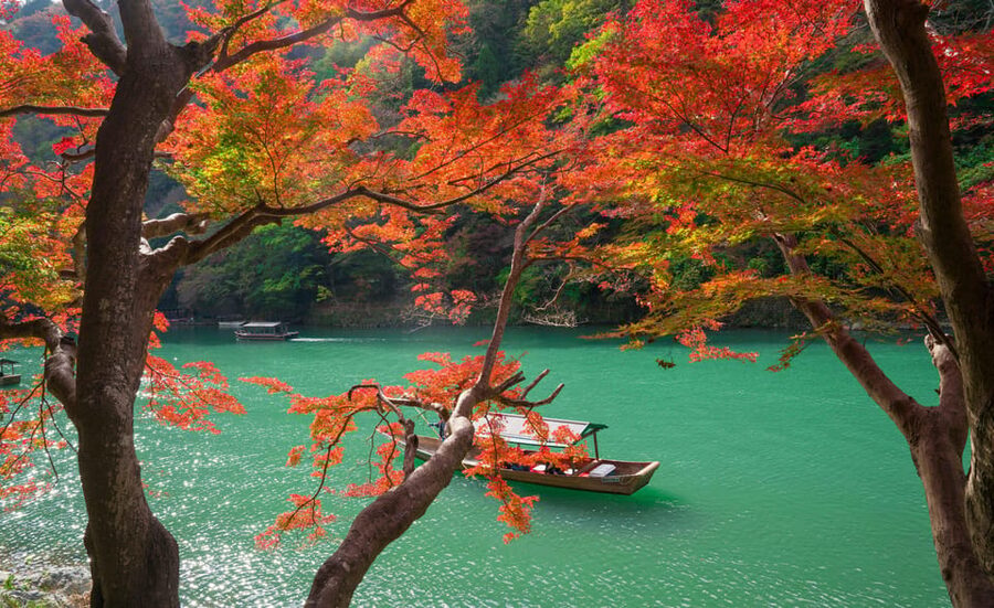 Osaka/Kyoto: Katsuoji, Kinkakuji, Arashiyama 1-Day Bus Tour - Who should book this day?