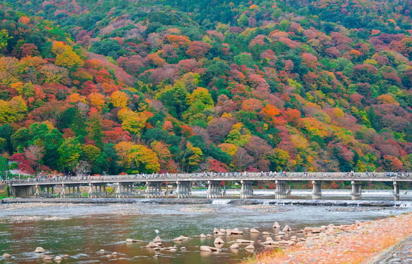Osaka/Kyoto: Katsuoji, Kinkakuji, Arashiyama 1-Day Bus Tour - Should you book the Katsuoji, Kinkakuji, and Arashiyama tour?
