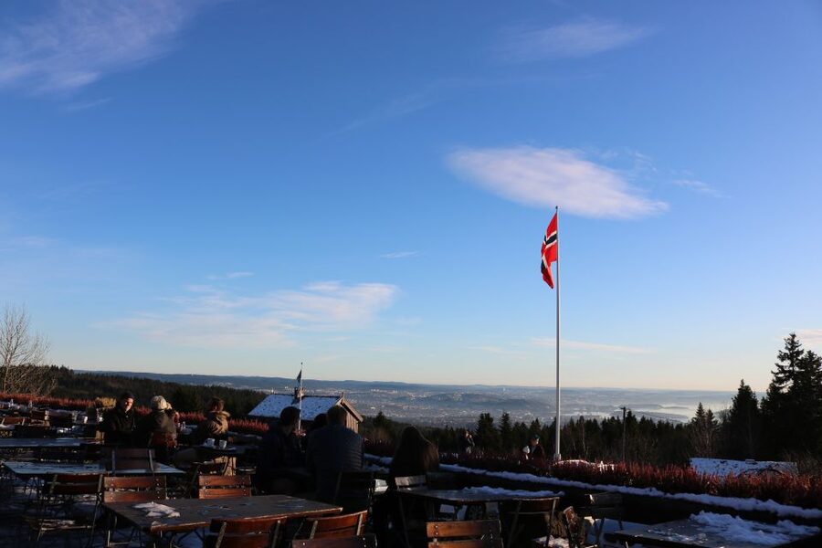 Oslo: Guided Oslo Highlights Tour by bus & Oslofjord cruise - Final Decision: Book or Skip?