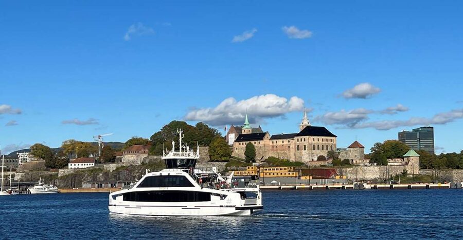 Oslo: Guided Oslo Highlights Tour by bus & Oslofjord cruise - One Artist’s Vision at Vigeland Sculpture Park