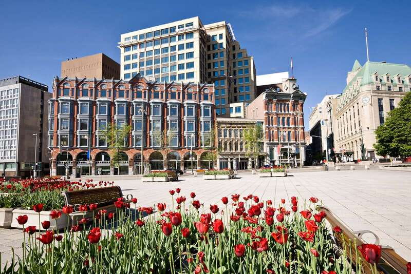 Ottawa: Hop-On Hop-Off Guided City Tour Pass - Upper deck views versus lower deck comfort