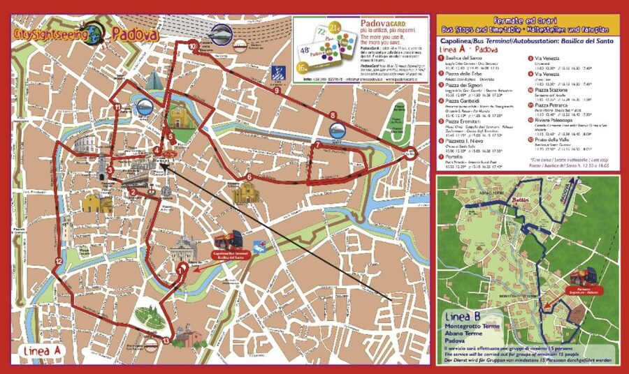 Padua Hop-on Hop-off Tour: 24-Hour Ticket - University of Padua and the city’s intellectual past