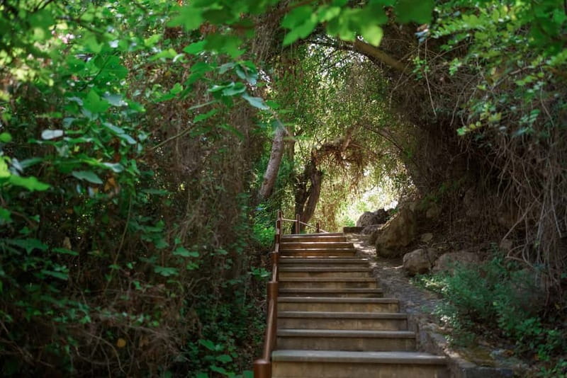 Paphos/Akamas: Blue Lagoon Bus & Boat Tour with Water Slide - The Edro III shipwreck and sea caves