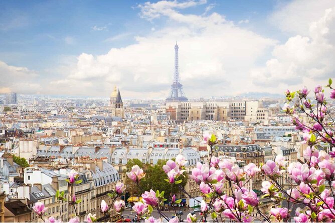 Paris by Rail with Sightseeing Bus and River Seine Lunch Cruise - Leaving St Pancras Before Sunrise