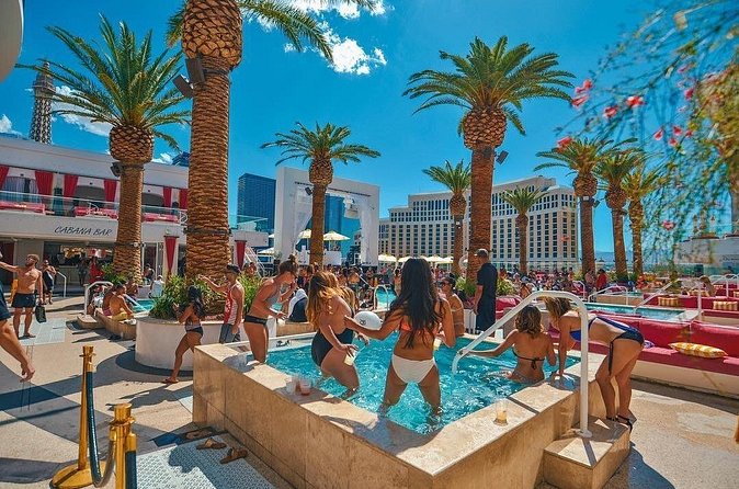 Party Bus Dayclub Crawl - Who will enjoy this crawl most