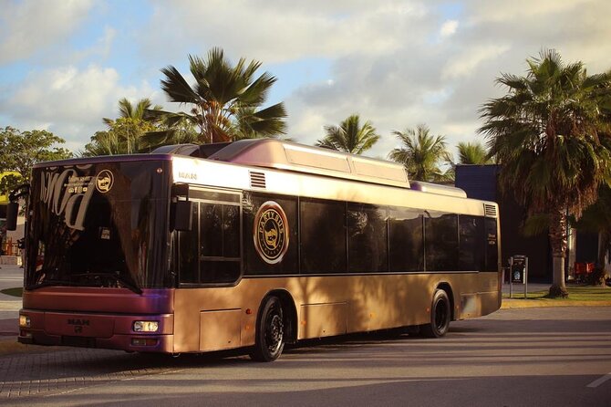Party Bus Rental - Key points at a glance