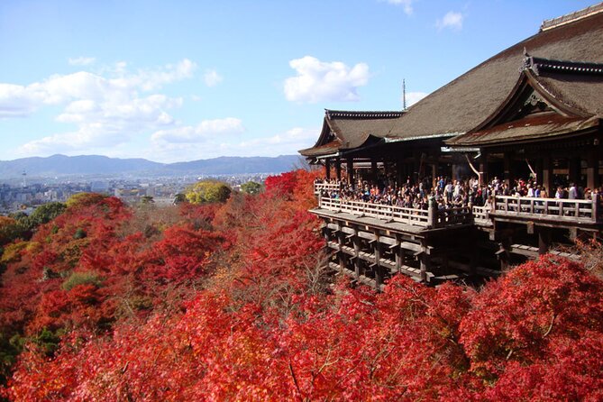 PERFECT KYOTO 1-Day Bus Tour - The best reasons to choose this Kyoto day tour