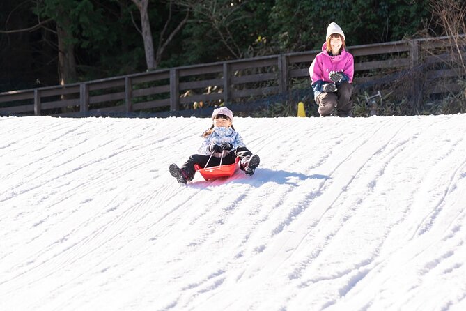 Play with Snow Crab Buffet Lunch and Strawberry Picking Bus Tour - Key points to know before booking