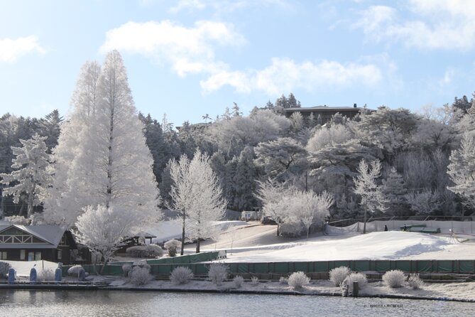 Play with Snow Crab Buffet Lunch and Strawberry Picking Bus Tour - Why this Osaka day trip works