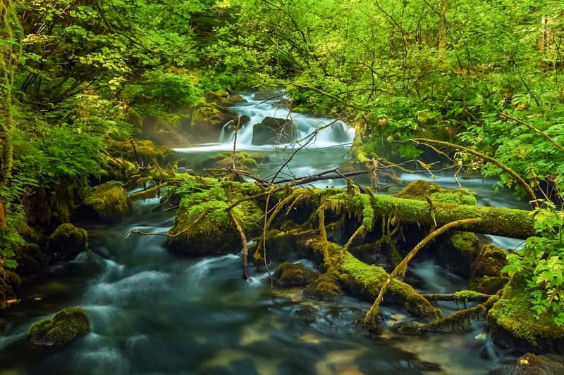 Plitvice Lakes: Guided Walking Tour with Bus and Boat Ride - Starting at Entrance 1 and finding your guide