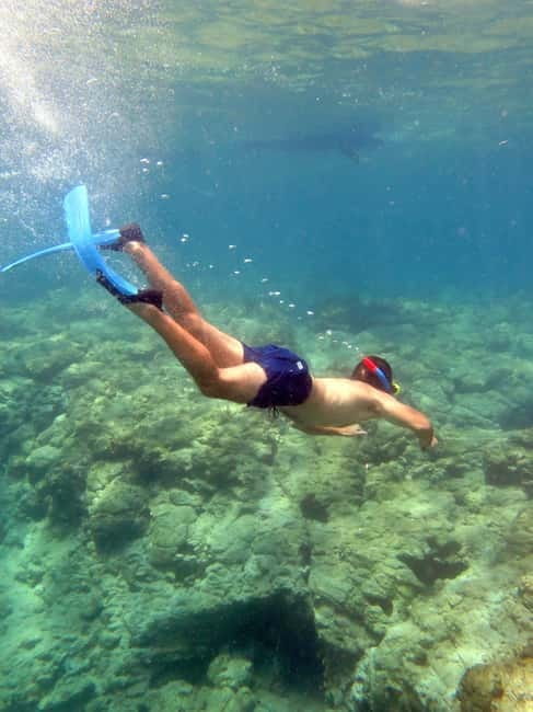 Polis: Blue Lagoon Boat Tour with bus from Paphos - Latchi Harbour and the large yacht
