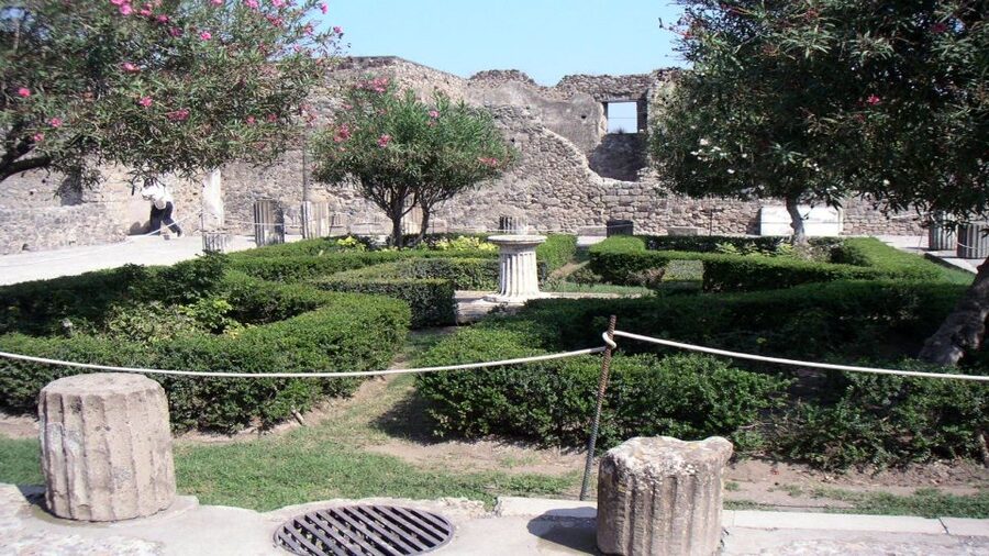 Pompeii Half-Day Coach Tour from Sorrento - Is $79 a good value?