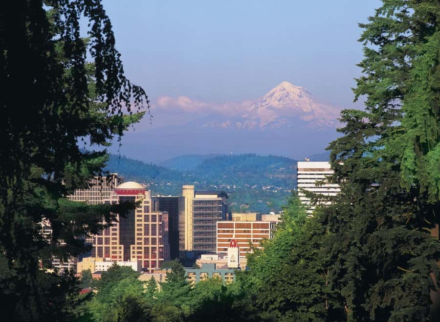 Portland, Oregon: Pink Trolley Hop-On Hop-Off Tour - Should you book it?