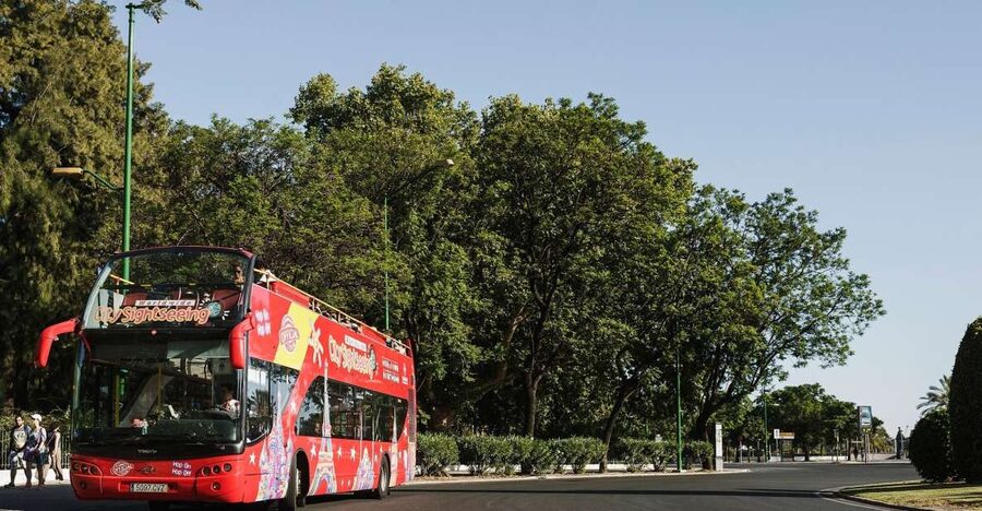 Potsdam: City Sightseeing Hop-On Hop-Off Bus Tour - Why a bus works well in Potsdam